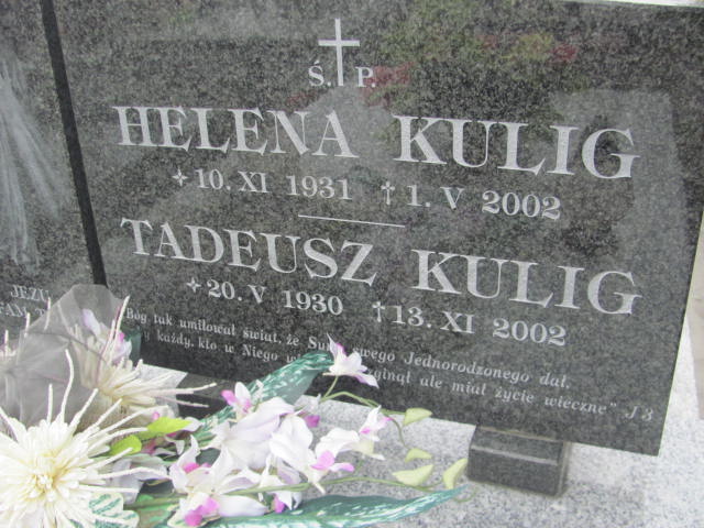 Tadeusz Kulig 1930 Dębica - Grobonet - Wyszukiwarka osób pochowanych