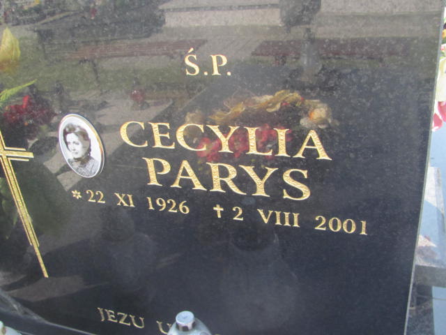 Aleksander Parys 1923 Dębica - Grobonet - Wyszukiwarka osób pochowanych