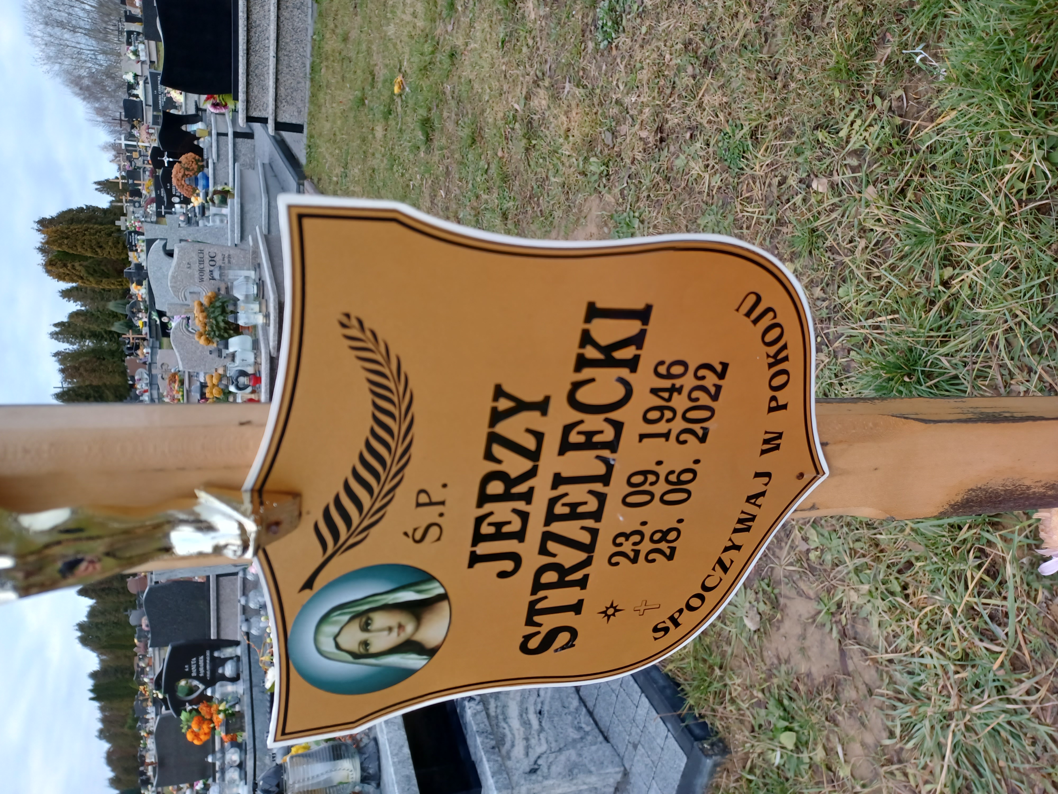 Jerzy Strzelecki 1946 Dębica - Grobonet - Wyszukiwarka osób pochowanych