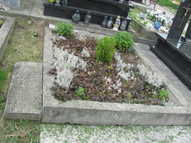 Jakub Szela 1993 Dębica - Grobonet - Wyszukiwarka osób pochowanych