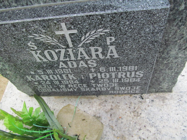 Adam Koziara 1981 Dębica - Grobonet - Wyszukiwarka osób pochowanych