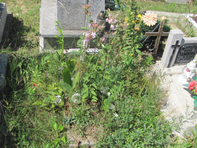 Grób Krzysztof Przybysz