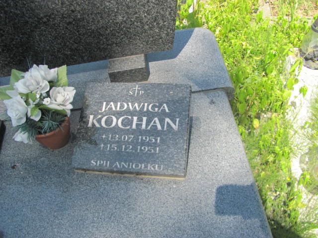 Jadwiga Kochan 1951 Dębica - Grobonet - Wyszukiwarka osób pochowanych