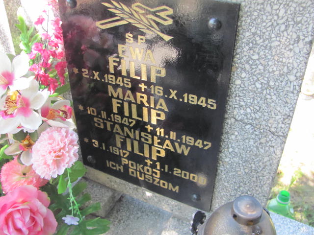 Ewa Filip 1945 Dębica - Grobonet - Wyszukiwarka osób pochowanych