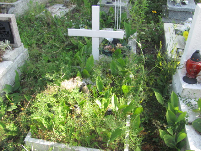 Agata Wiktor Dębica - Grobonet - Wyszukiwarka osób pochowanych