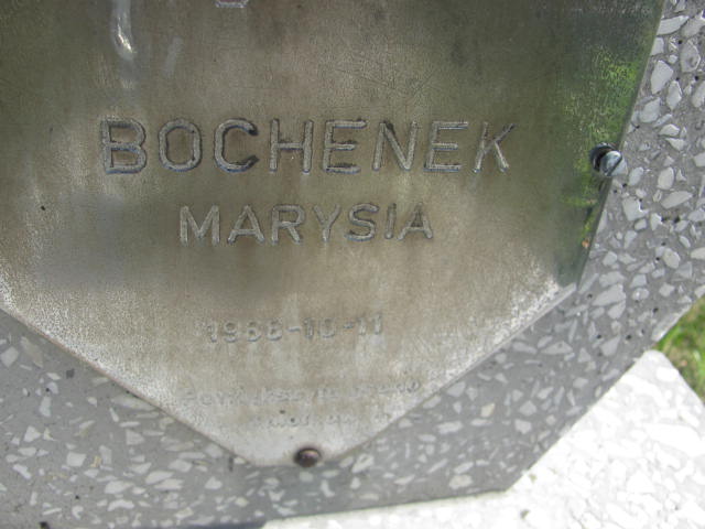 Ilona Bochenek 2026 Dębica - Grobonet - Wyszukiwarka osób pochowanych