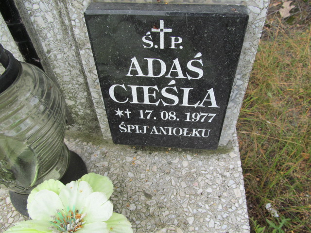 Grób Adam Cieśla