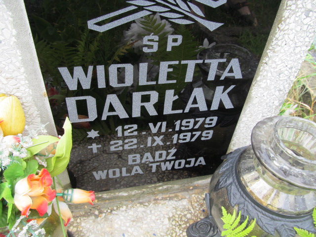 Wioletta Darłak 1979 Dębica - Grobonet - Wyszukiwarka osób pochowanych