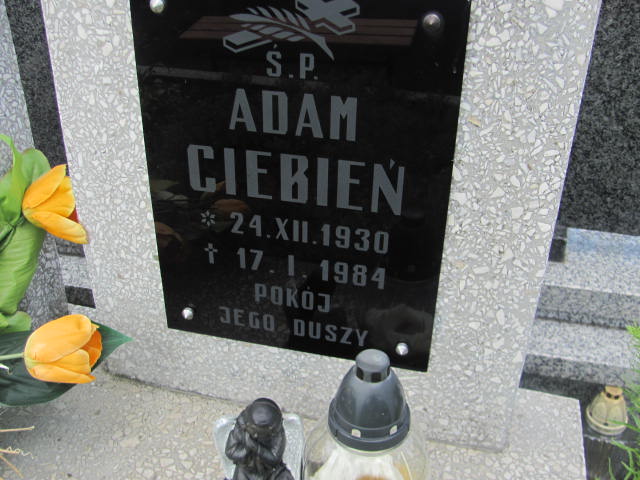 Adam Ciebień 1930 Dębica - Grobonet - Wyszukiwarka osób pochowanych