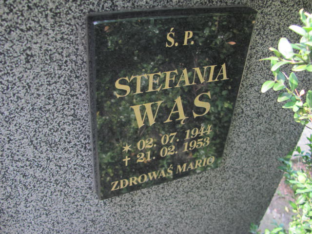 Józef Wąs 1917 Dębica - Grobonet - Wyszukiwarka osób pochowanych