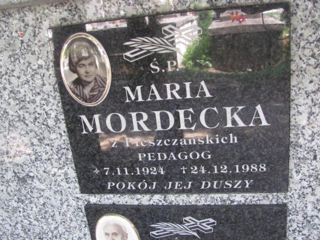 Maria Mordecka 1924 Dębica - Grobonet - Wyszukiwarka osób pochowanych