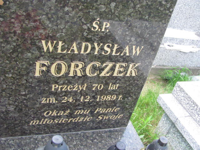 Władysław Forczek 1920 Dębica - Grobonet - Wyszukiwarka osób pochowanych