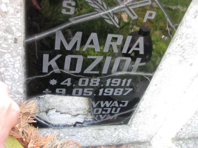 Andrzej Kozioł 1906 Dębica - Grobonet - Wyszukiwarka osób pochowanych