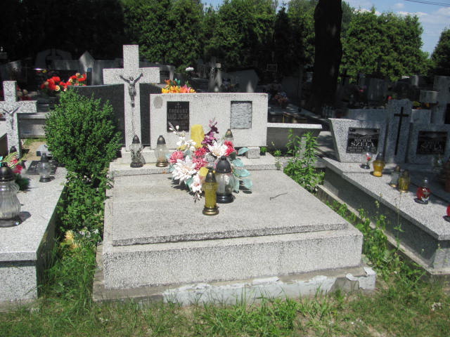 Tadeusz Wójcik 1928 Dębica - Grobonet - Wyszukiwarka osób pochowanych