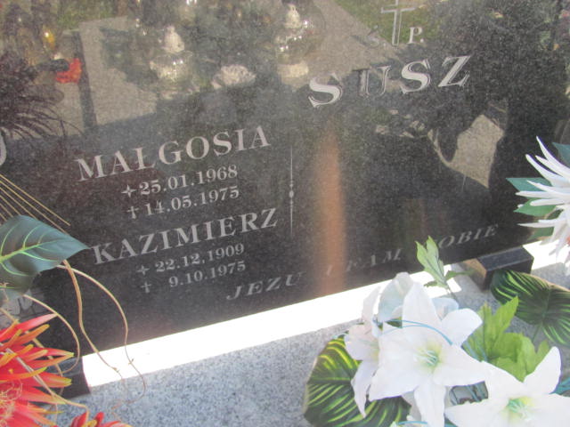 Kazimierz Susz 1909 Dębica - Grobonet - Wyszukiwarka osób pochowanych