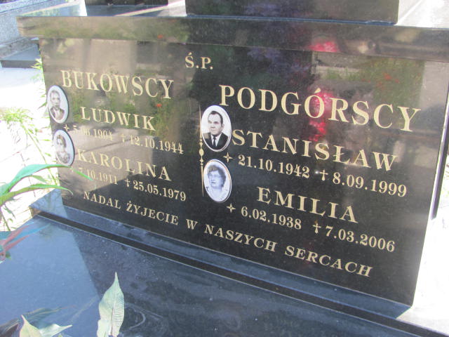 Ludwik Bukowski 1904 Dębica - Grobonet - Wyszukiwarka osób pochowanych