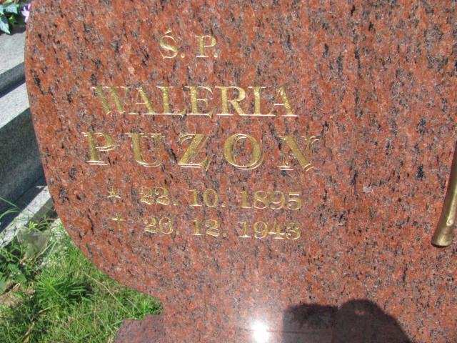 Waleria Puzon 1895 Dębica - Grobonet - Wyszukiwarka osób pochowanych