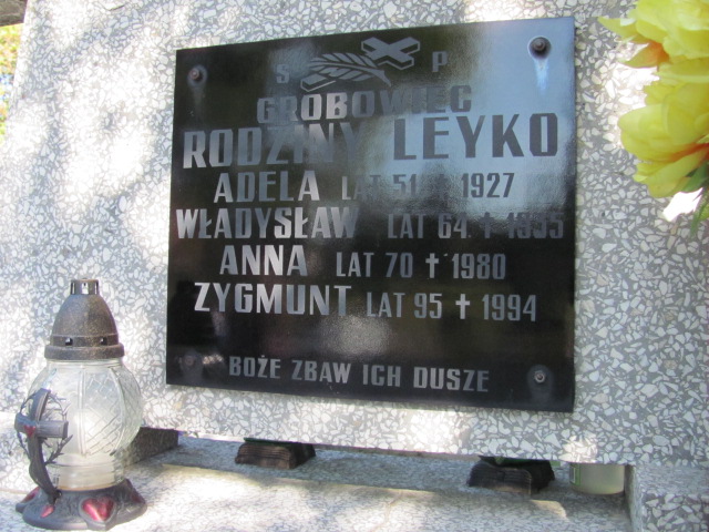 Władysław Leyko 1871 Dębica - Grobonet - Wyszukiwarka osób pochowanych