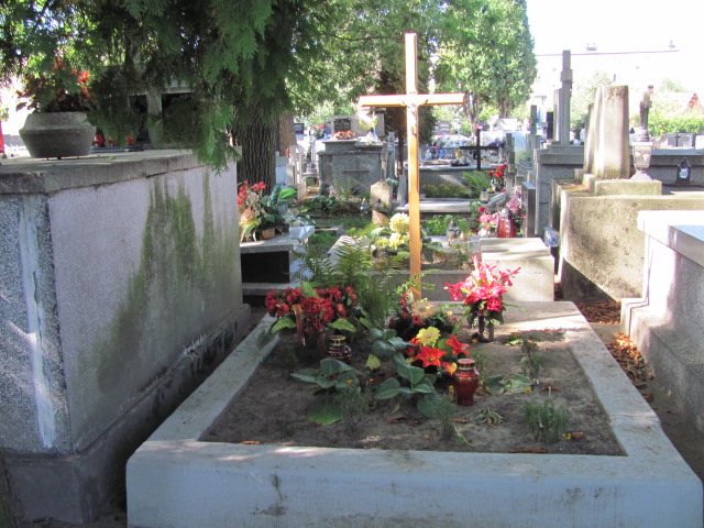 Mateusz Rębiś 2005 Dębica - Grobonet - Wyszukiwarka osób pochowanych