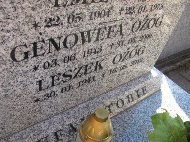 Leszek Ożóg 1941 Dębica - Grobonet - Wyszukiwarka osób pochowanych