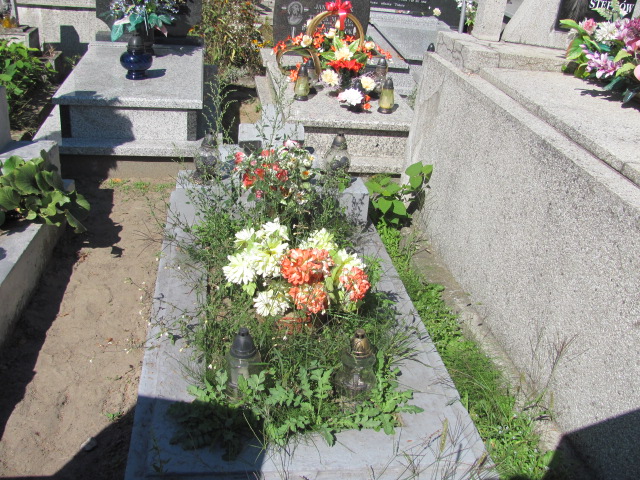 Ewa Trzeciak 1869 Dębica - Grobonet - Wyszukiwarka osób pochowanych