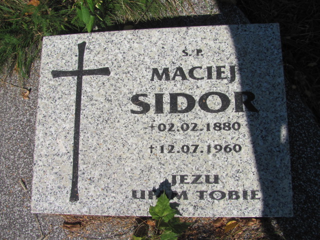 Maciej Sidor 1880 Dębica - Grobonet - Wyszukiwarka osób pochowanych