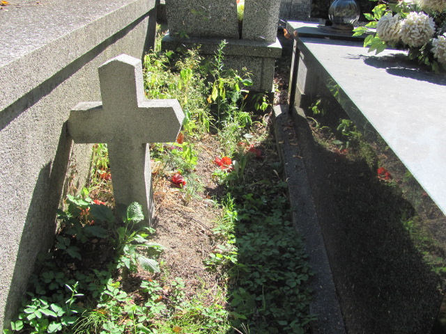 Wanda Śmietana 1931 Dębica - Grobonet - Wyszukiwarka osób pochowanych