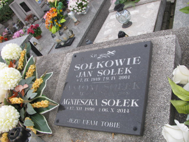 Agnieszka Sołek 1950 Dębica - Grobonet - Wyszukiwarka osób pochowanych