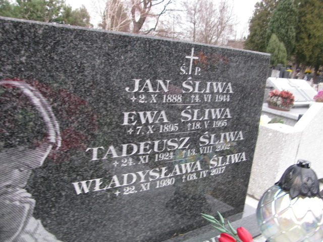 Ewa Śliwa 1895 Dębica - Grobonet - Wyszukiwarka osób pochowanych