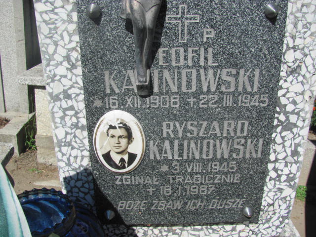 Teofil Kalinowski 1908 Dębica - Grobonet - Wyszukiwarka osób pochowanych