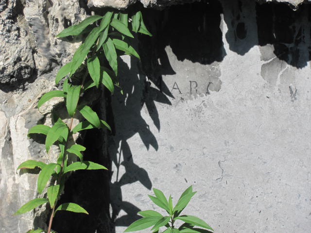  Rawicz Dębica - Grobonet - Wyszukiwarka osób pochowanych