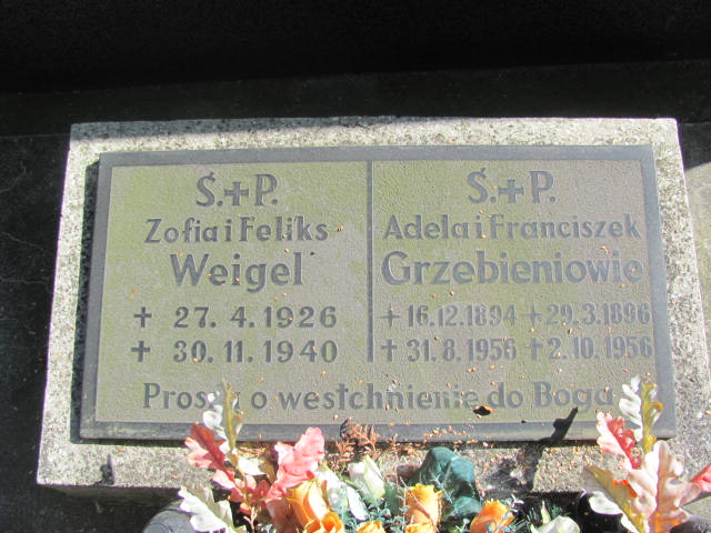 Adela Grzebień 1894 Dębica - Grobonet - Wyszukiwarka osób pochowanych