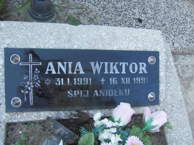 Anna Wiktor 1991 Dębica - Grobonet - Wyszukiwarka osób pochowanych